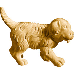 Cachorro San Bernardo